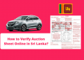 How to Verify Auction Sheet Online in Sri Lanka?