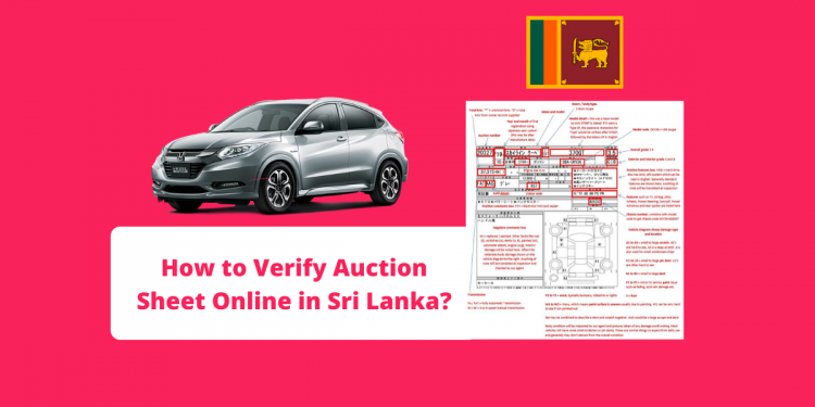 How to Verify Auction Sheet Online in Sri Lanka?