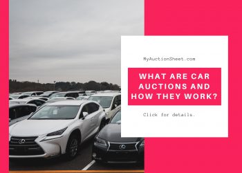 What are Car Auctions and How they Work?
