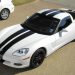 All You Need To Know About How to Paint Stripes on a Car