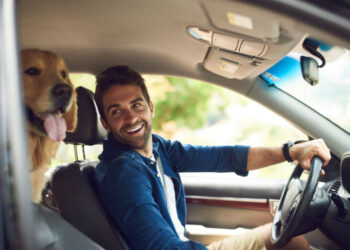 How to Get Dog Hair Out of Car