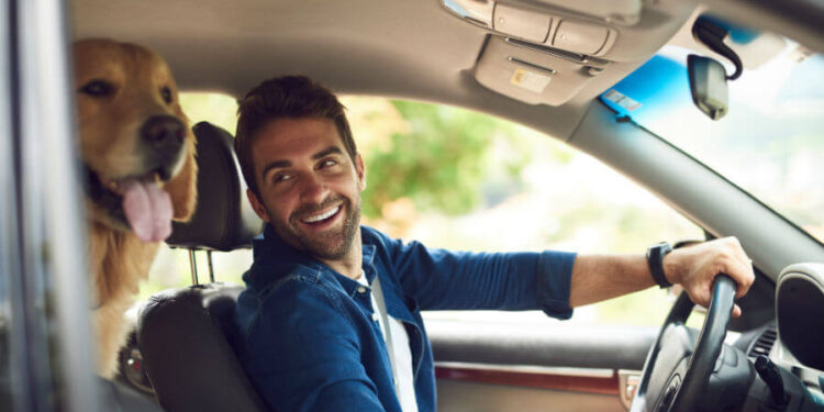 How to Get Dog Hair Out of Car