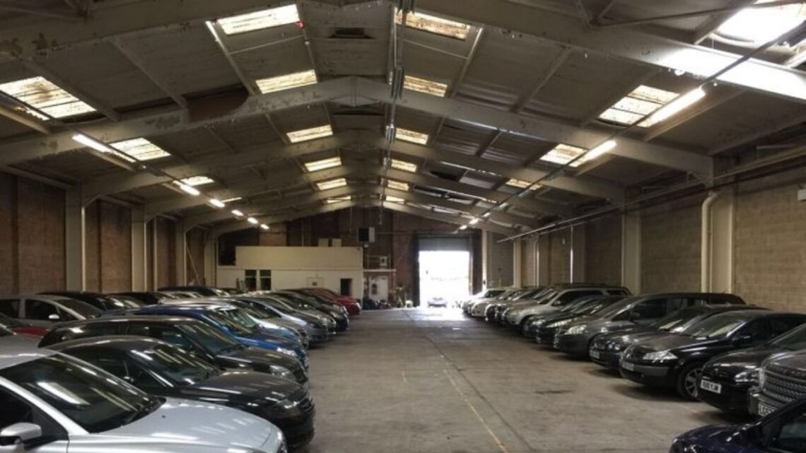 Why Are Japanese Cars So Popular at Auctions and Dealerships