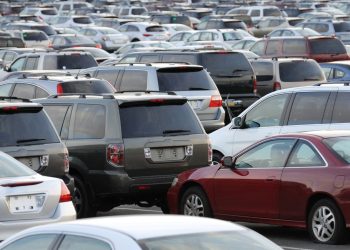 How To Get Auction License To Buy Cars