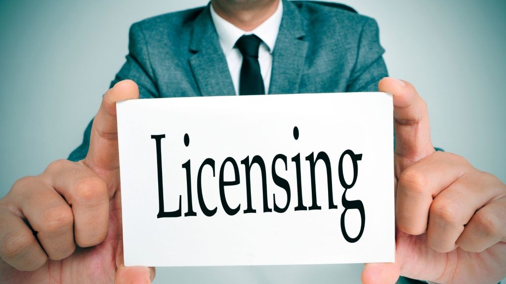 What is Dealer Car Auction License