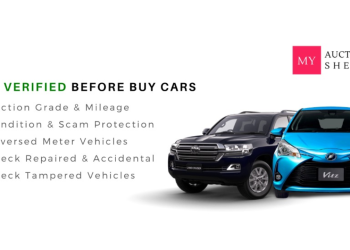 Why Auction Sheet Codes Important To Know